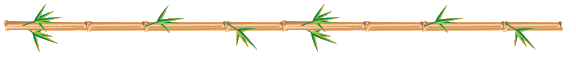 bamboodivider.gif 576x57