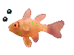 fish067.gif 107x79
