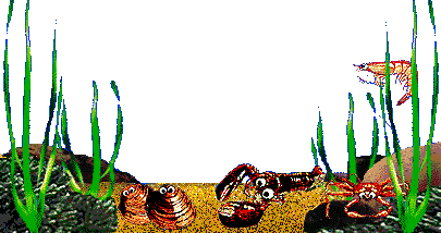 lobsterfloor.gif 405x214